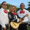 mariachi trio