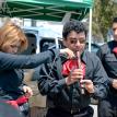 flute